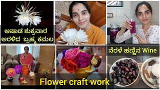 A Day In My Life | ಮೊದಲನೇ ಆಷಾಡ ಶುಕ್ರವಾರದಂದು ಅರಳಿದ ಬ್ರಹ್ಮ ಕಮಲ | #nimmaashwini #benatural #dayinmylife