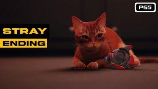 Stray (PS5) Gameplay 6 + Ending #stray #straycat #ps5