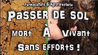 PERMACULTURE : FABRIQUER RAPIDEMENT UN SOL VIVANT ET RICHE RESTAURER LA VIE AU JARDIN POTAGER !