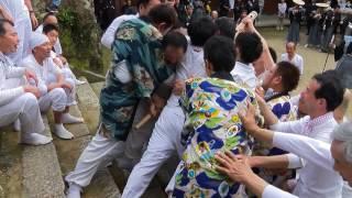 Jostling big ritual wand at Mimi Shrine in Mihama Town, Fukui Prefecture