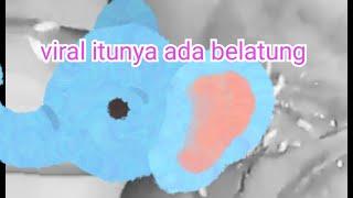 video viral vagina ada belatung