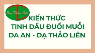 KIẾN THỨC TINH DẦU ĐUỔI MUỖI DẠ THẢO LIÊN - Cao Yến 0986275186