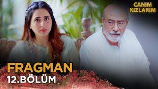 Canım Kızlarım - Betiyaan | Pakistan Dizisi 12. Bölüm Fragmanı | 12 Kasım 2024  @kanal7