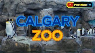 Calgary Zoo