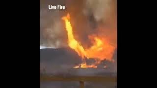 Massive Forest Fire in Los Angeles, California - January 2025