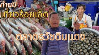 ตลาดธวัชดินแดง จ.ร้อยเอ็ด แมงดา ปลาเนื้ออ่อน อาหารอีสานแซ่บ