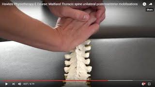 Hawkes Physiotherapy E Course: Maitland Thoracic spine unilateral posteroanterior mobilisations