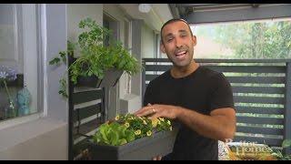 Garden Up Alfresco Vertical Garden