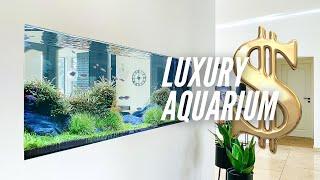 400 Liters Aquascape Tutorial after 1,095 Days