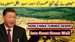 Chaina's Great Green Wall Project | One of the World Largest Desert Gobi Desert| Luxury World38