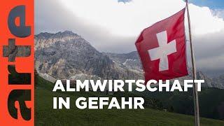 Schweiz: Einsatz für die Alpenwiesen | Naturparadiese mit Zukunft | ARTE Family