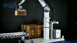 Automatic Robotic Palletizer Systems For Carton
