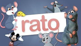 Rato!