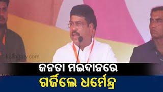 Shah In Odisha: Union Minister Dharmendra Pradhan Speech At Pro-CAA Rally In Bhubaneswar