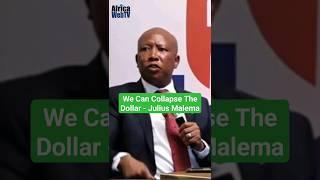 We Can Collapse The Dollar | Julius Malema