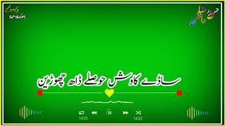 new green screen WhatsApp status Punjabi poetry #Lovely arain#