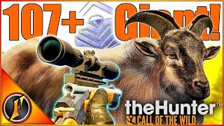 Our BIGGEST Diamond Yet! FINALLY 107+  | theHunter Call of the Wild