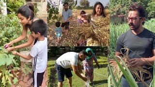 Bollywood Stars Turns Farmer | Salman,Aamir,Shilpa Doing Farm Work During Lockdown At Farmhouse
