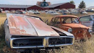 This is his backyard! NOT a junkyard!    #musclecar #barnfinds