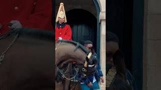 HE DIDN’T SEE IT COMING | Horse Guards, Royal guard, Kings Guard, Horse, London, 2024