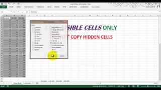 Copy Visible Cells only