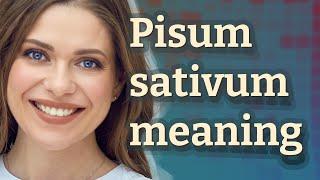 Pisum sativum | meaning of Pisum sativum