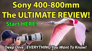 Sony 400-800mm f/6.3-8 G Hands-On Review: The Ultimate Bird & Wildlife Zoom?