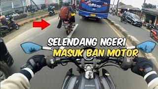 SELENDANG HAMPIR TERLILIT BAN MOTOR