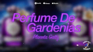 Perfume de Gardenias (La Sonora Santanera Cover) - Planeta Gattz x Ángel Gattz