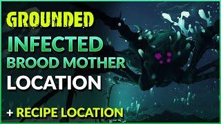 Grounded Infected Broodmother Location and Moldy Hoagie Recipe Location