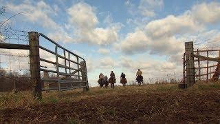 Tennessee Cattle Herding