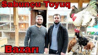 Sabunçu Toyuq Bazarı 28.11.2021