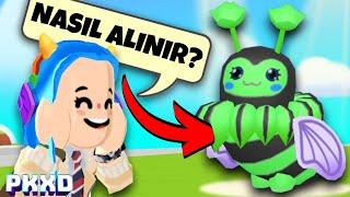 PK XD GİZEMLİ YEŞİL ARI NASIL ALINIR?!| PK XD 4 TAKTİKLE RENKLİ ARIYI AL!| PK XD TÜRKÇE