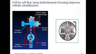 Advancements in WBC Differential Technology