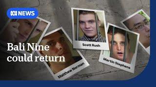 Remaining Bali Nine members could return to Australia | ABC News