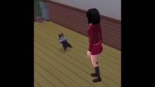 Sims cat break-dancing