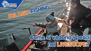 PELAGIC LIVESCOPE: Come vedere i pesci con @garminItaly