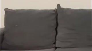 Couch noise