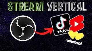 How to Stream Vertical OBS Setup! Best Guide 2024