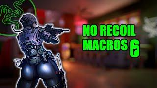 Razer Synapse no recoil R6