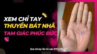 Thuyền BÁT NHÃ và TAM GIÁC phúc đức | Xem chỉ tay - Tập 363