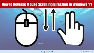 How to Reverse Mouse Scrolling Direction In Windows 11
