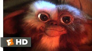 Gremlins (1/6) Movie CLIP - Billy Meets Gizmo (1984) HD