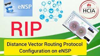 How to Configure RIP Routing Protocol on eNSP Huawei hindi urdu english