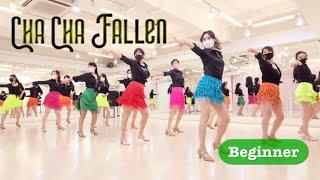 Cha Cha Fallen l Fallen - Lauren Wood l Beginner Line Dance l  차차 폴른 라인댄스 l Junghye Yoon
