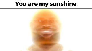 Every Nature Documentary : "You Are My Sunshine"