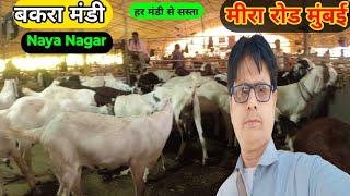 बकरा मंडी मीरा रोड मुंबई  | Bakra Mandi Mira Road Mumbai 2024 | sabse sasta bakra | #Bakra_Mandi