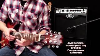 Peavey Vypyr VIP - Multi Instrument Performance Demo