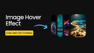 Image Hover Effect Using Html And Css | Beginner Tutorial @ApnaCollegeOfficial