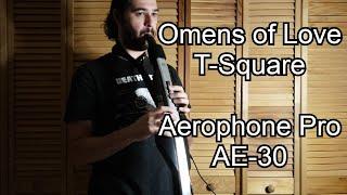 Omens of Love - T-Square (Cover) | Roland Aerophone Pro AE-30